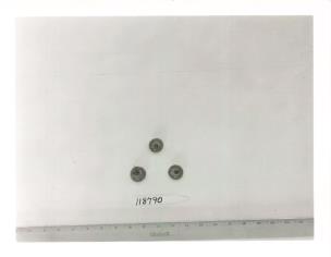Click for 1 image(s) for this accession. FRUIT